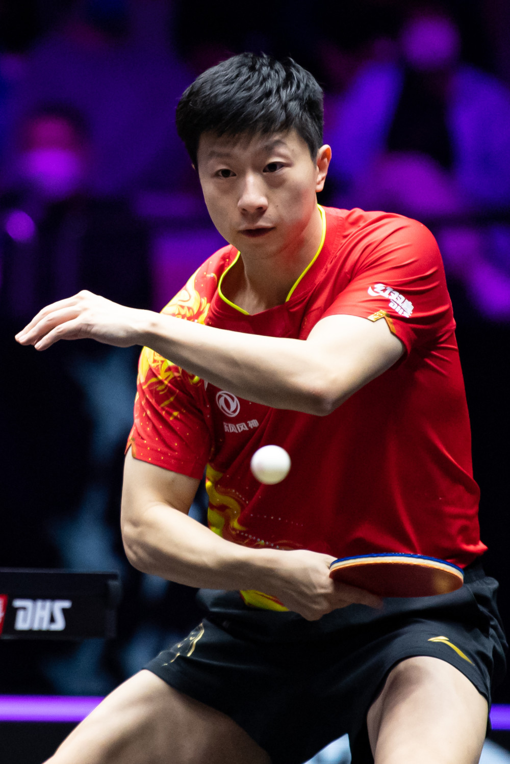 赛成为球迷 赛成为球迷