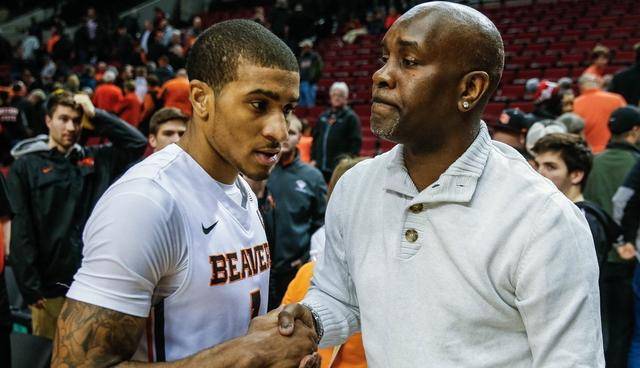 作为一个崭 作为一个崭