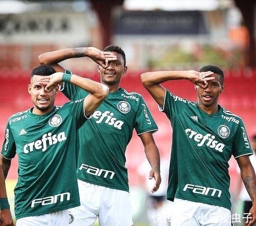 多点开花 多点开花